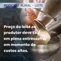 Preço do leite ao produtor deve cair em plena entressafra, em momento de custos altos