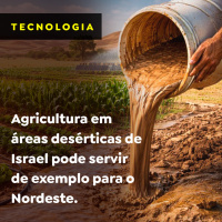 Agricultura em áreas desérticas de Israel pode servir de exemplo para o Nordeste