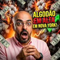 Algodão em alta: Entenda por que os preços dispararam em Nova York!