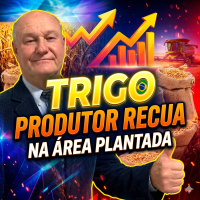 Trigo no Brasil: Cotações Firmes, mas Produtor Recua na Área Plantada