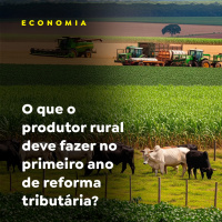 ECONOMIA