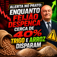 Alerta no Prato: Enquanto Feijão Despenca cerca de 40%,Trigo e Arroz Disparam