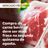 Compra de carne bovina deve ser mais fraca na segunda quinzena de agosto