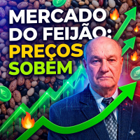  Mercado do Feijão Preços sobem até R$10 em uma semana
