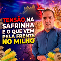 Tensão na safrinha e o que vem pela frente no milho.