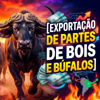 Aprovada proposta que facilita exportação de partes de bois e búfalos