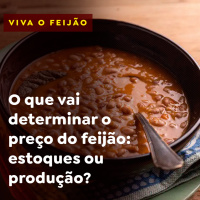 O que vai determinar o preço do feijão: estoques ou produção? 