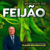 Preços do feijão devem voltar a subir e safra nova pode ser menor