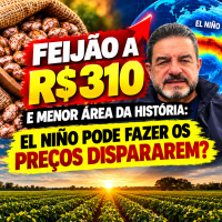 Feijão a R$ 310 e Menor Área da História: El Niño Pode Fazer os Preços Dispararem?