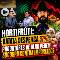 Hortifrúti: Batata despenca 37% produtores de alho pedem socorro contra importados