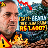 O Futuro do Preço do Café: Geada ou Queda para R$ 1.400?