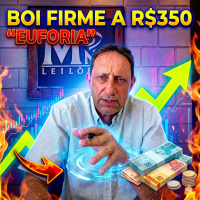  Boi firme a R$350 e a euforia no mercado de reposição