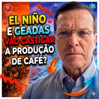El Niño e Geadas vão castigar a produção de café no inverno? 