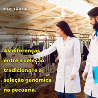 As diferenças entre a seleção tradicional e a seleção genômica na pecuária