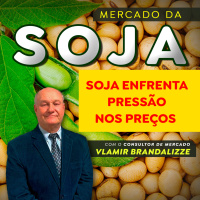 Soja enfrenta pressão nos preços e incerteza no biodiesel