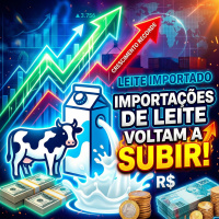  Importações de leite voltam a subir o que esperar para os próximos meses?