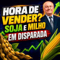 Alta da Soja e Demanda Recorde de Milho Agitam o Mercado - Janela de Ouro!