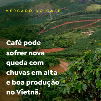 Café pode sofrer nova queda com chuvas em alta e boa produção no Vietnã