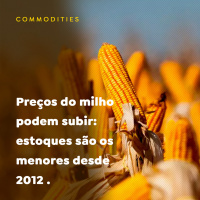 Preços do milho podem subir: estoques são os menores desde 2012