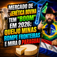 Mercado de genética bovina tem “boom” em 2026 queijo minas rompe fronteiras e mira o Paraguai
