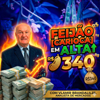  Feijão Carioca em Alta Saca chega aos R$340 com a volta dos compradores