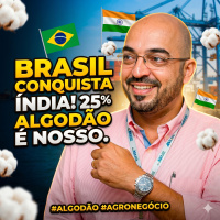 Brasil conquista a Índia: 25% do algodão importado pelos indianos é brasileiro