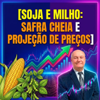 Soja e milho: safra cheia e projeção de preços