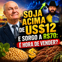 Soja acima de US$12 e Sorgo a R$70: É hora de vender?