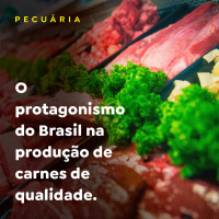 O protagonismo do Brasil na produção de carnes de qualidade