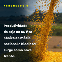 Produtividade da soja no RS fica abaixo da média nacional e biodiesel surge como nova frente.