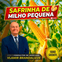  Safrinha de milho pequena e demanda por etanol devem elevar os preços