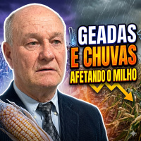 Geadas e Chuvas: Como as Mudanças no Clima Estão Afetando o Milho no Sul e Sudeste