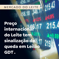 Preço internacional do Leite tem sinalização de queda em Leilão GDT