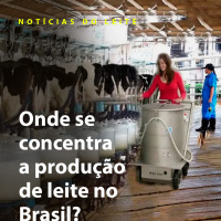 Onde se concentra a produção de leite no Brasil?