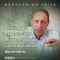 Falta de bezerros e busca por garrotes devem ditar o mercado abate de fêmeas pode bater recorde