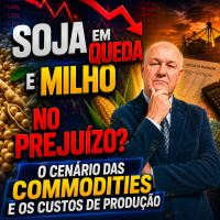 Soja em queda e Milho no prejuízo? O cenário das commodities e os custos de produção