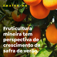 EMATER-MG