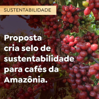 Proposta cria selo de sustentabilidade para cafés da Amazônia