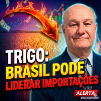 Trigo: Brasil pode Liderar Importações com Desânimo do Produtor Nacional