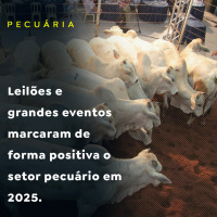 Leilões e grandes eventos marcaram de forma positiva o setor pecuário em 2025