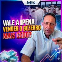 Desmama Precoce e Mercado de Nelore: Vale a Pena Vender o Bezerro Mais Cedo?