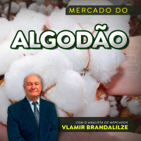 Preço do algodão é o menor em dois anos Brasil pode aproveitar demanda chinesa