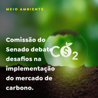 Comissão do Senado debate desafios na implementação do mercado de carbono