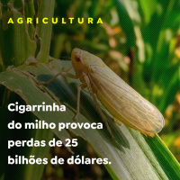 AGRICULTURA