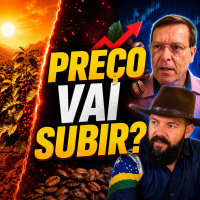O que Esperar do Mercado do Café? Preços, Clima e Projeções para as Próximas Safras 