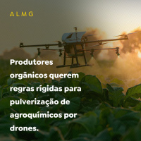 Produtores orgânicos querem regras rígidas para pulverização de agroquímicos por drones