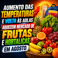 Aumento das temperaturas e volta às aulas aquecem mercado de frutas e hortaliças em agosto