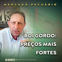 Cotação do boi gordo: expectativa é de preços mais fortes no curto prazo