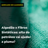 Algodão x Fibras Sintéticas: alta do petróleo vai ajudar a pluma?