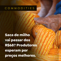 Saca de milho vai passar dos R$68? Produtores esperam por preços melhores 
